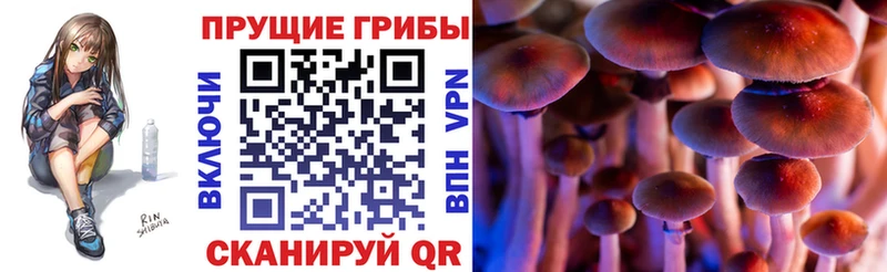 Галлюциногенные грибы Psilocybe МЕГА tor Афипский
